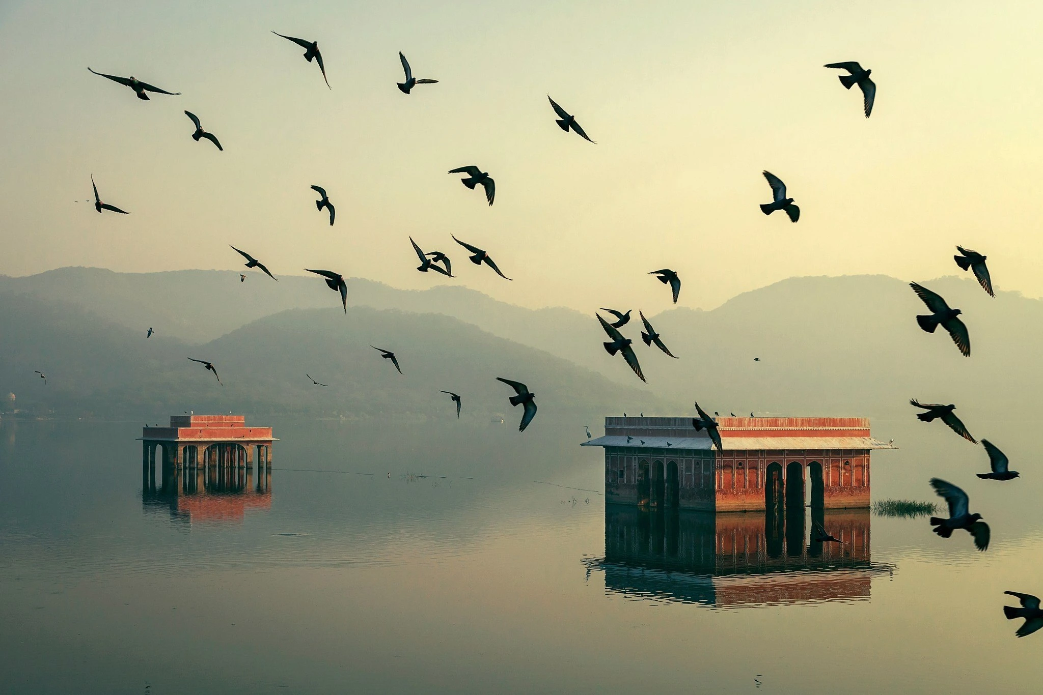 MORNING TOUR (JAIPUR)